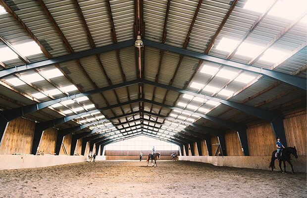 Horse Arena